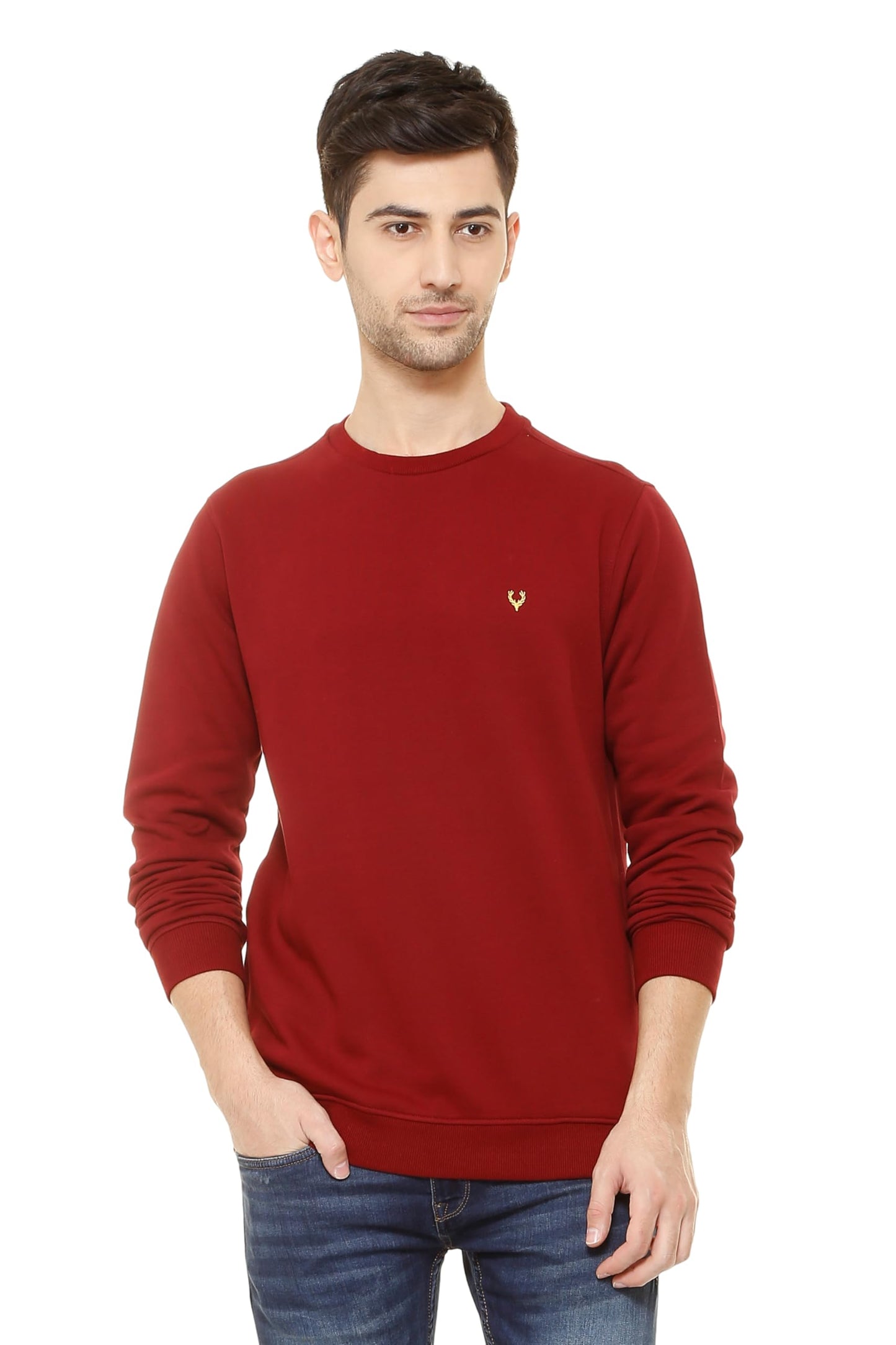 Allen Solly Men Casual Cotton Crew Neck, Regular Sweatshirt (Asstorgpm88973_Maroon_L)