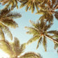 Assign Video Images Test Clever